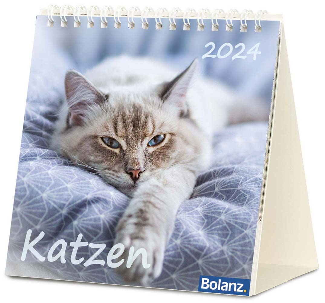 Katzen 2024 - Tischkalender Katzen 2024 - Tischkalender