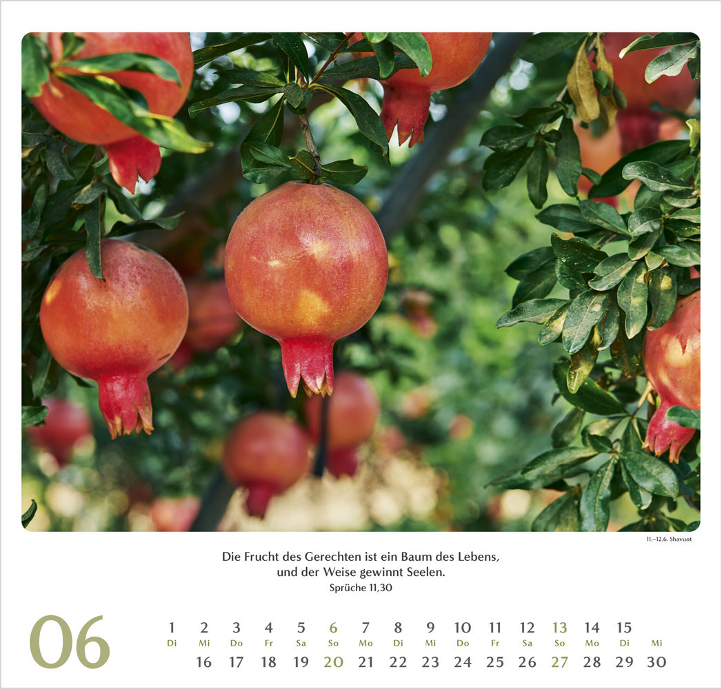 Geliebtes Israel 2027 - Wandkalender