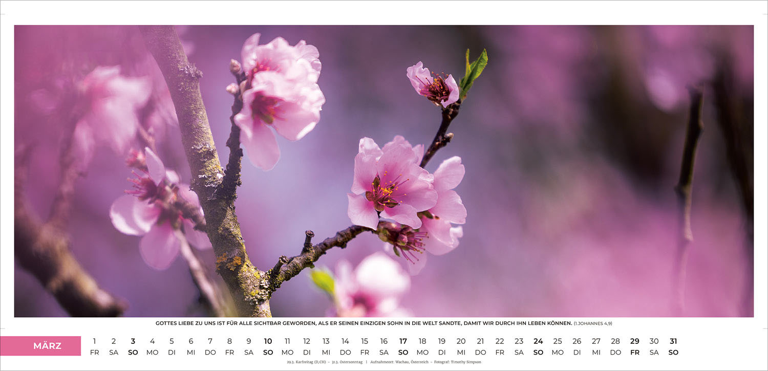 Life-is-more Panoramakalender XL 2024 Life-is-more Panoramakalender XL 2024