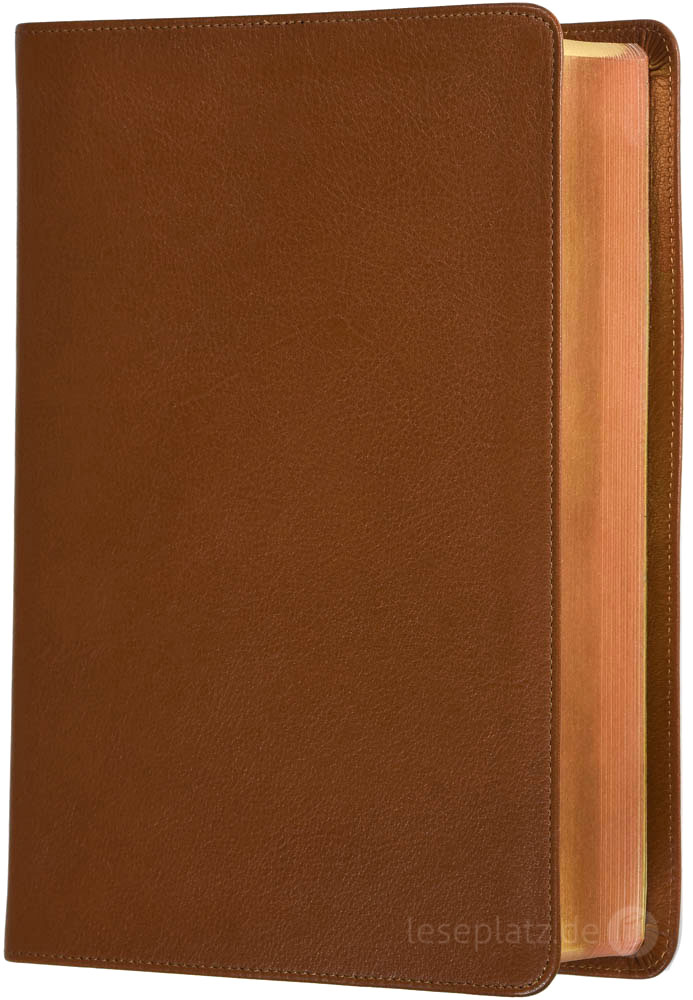 257154-01 Elberfelder 2003 - Standardausgabe mit Notizseiten / Leder hellbraun / Rotgoldschnitt