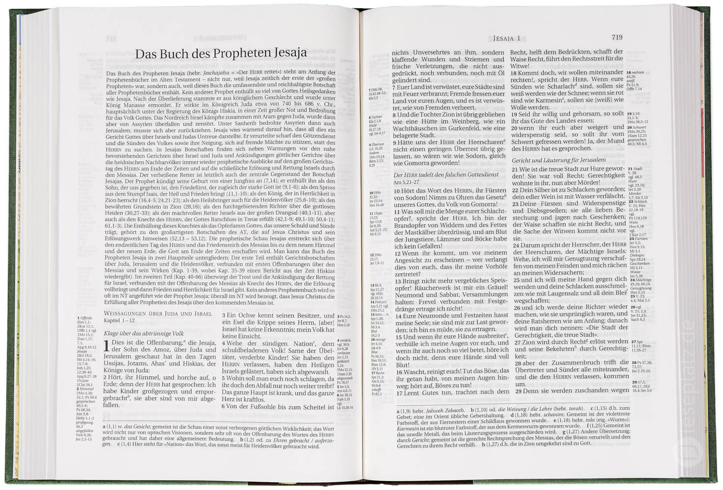 Schlachter 2000 Standardausgabe - Hardcover Duoleinen braun/khaki