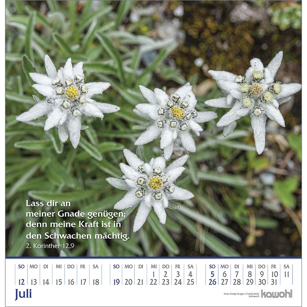 Glanz der Berge 2026 - Wandkalender