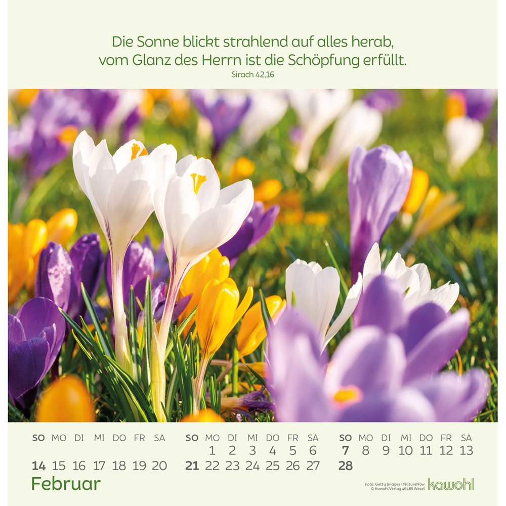 Blumengrüße 2027 - Wandkalender