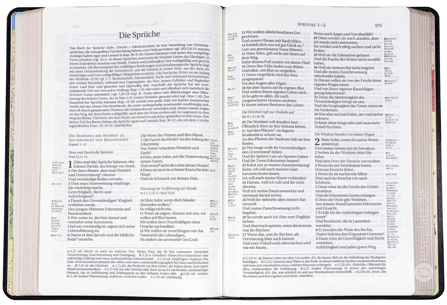 Schlachter 2000 Standardausgabe - Kalbsleder schwarz / Goldschnitt