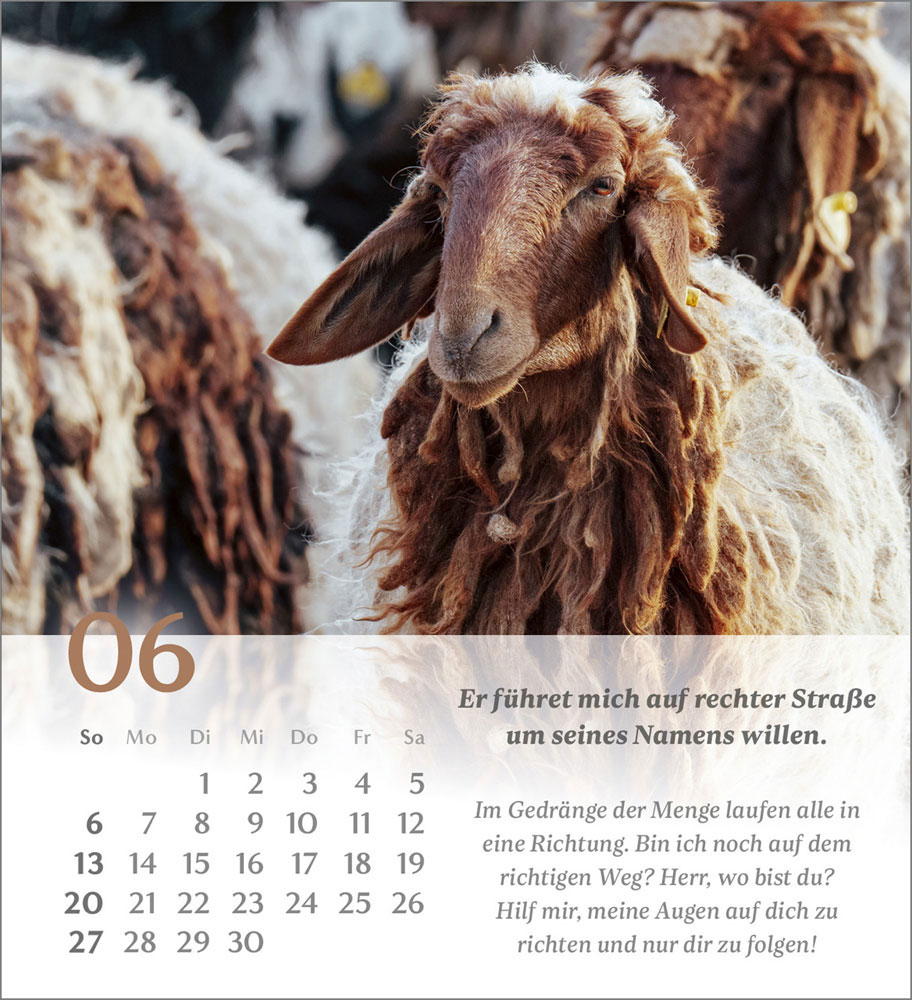 Psalm 23 - Tischkalender 2027