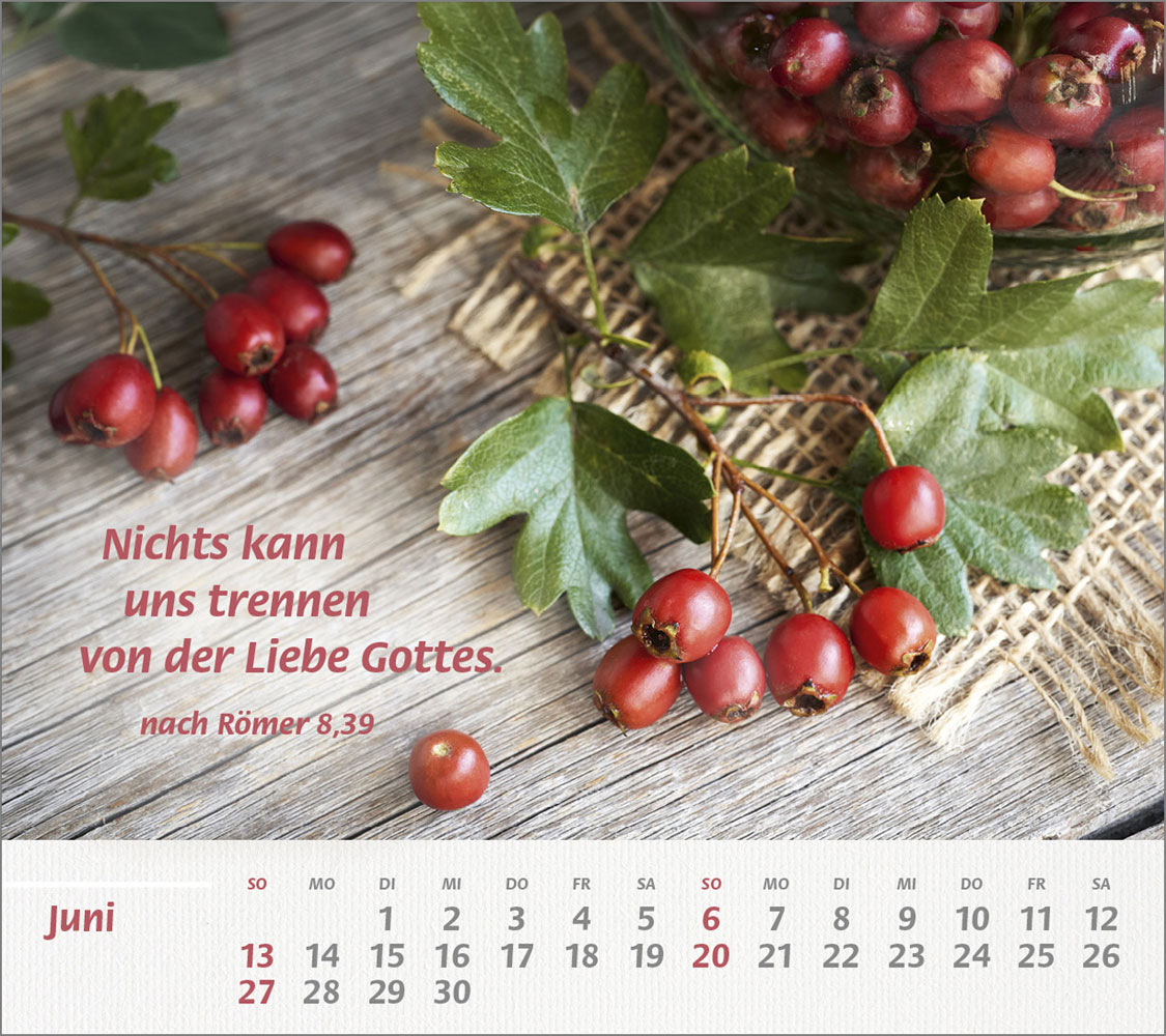 Du bist meine Stärke 2027