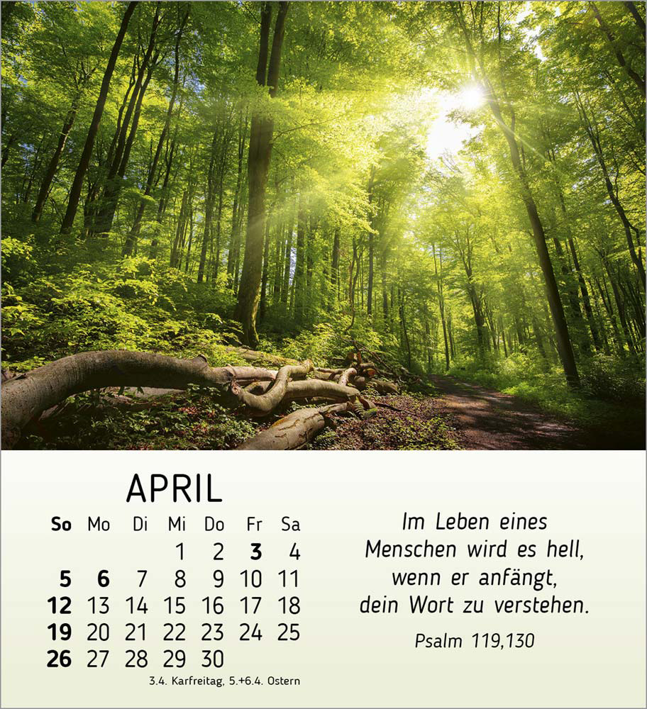 Schönheit des Lichts 2026 Schönheit des Lichts 2026