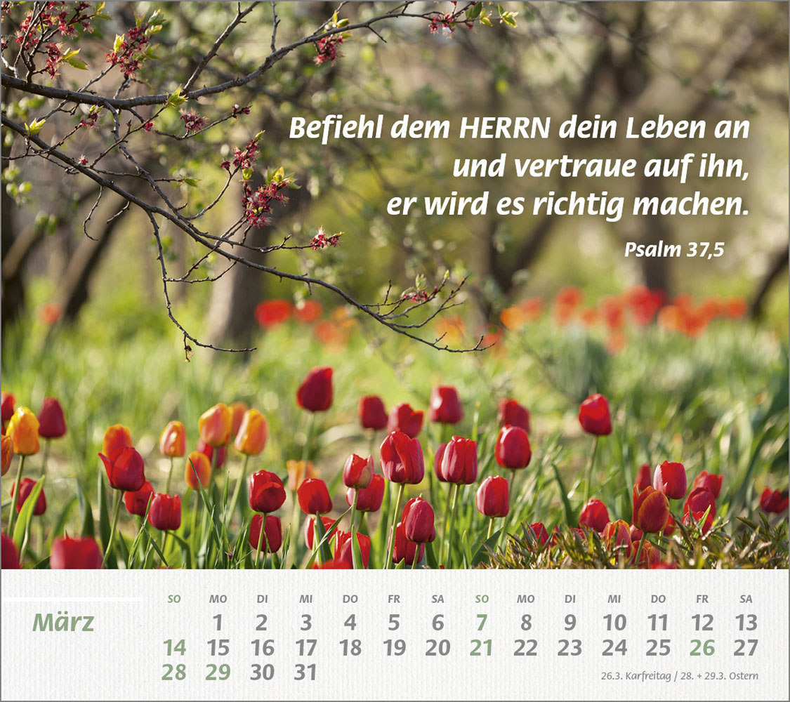 Du bist meine Stärke 2027
