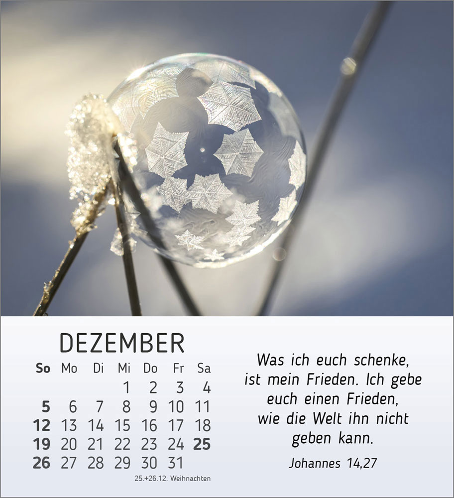 Stille Begegnungen 2027