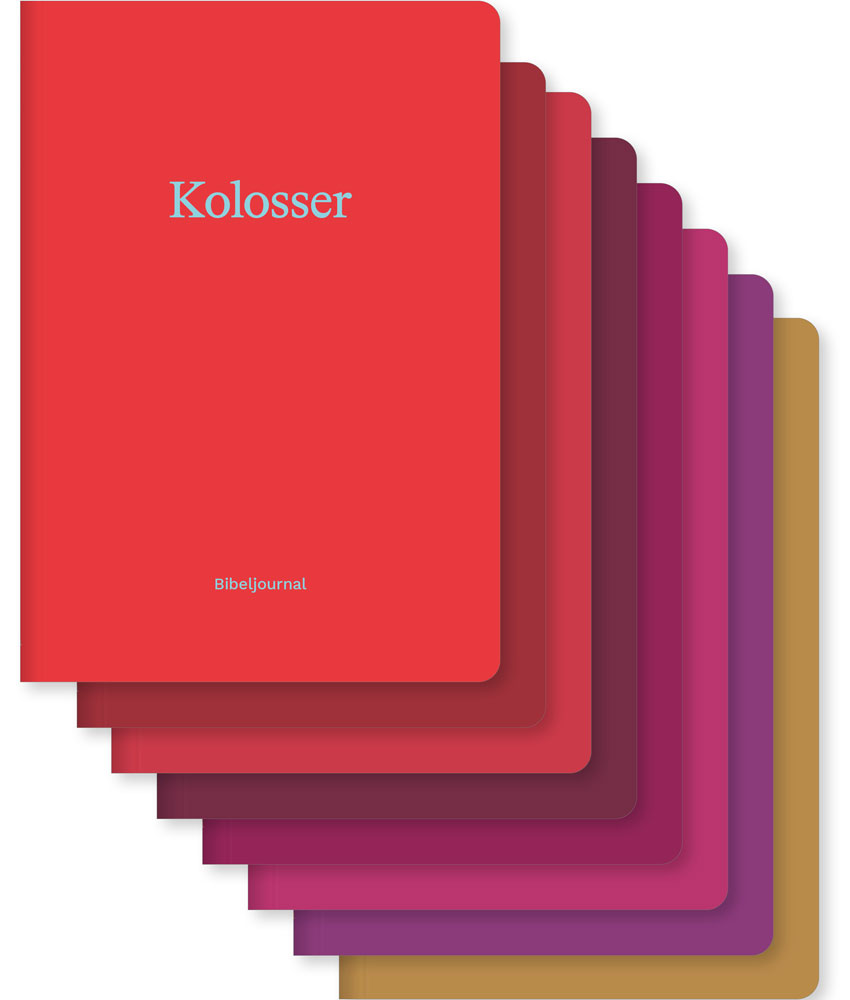 Bibeljournal - Paket Kolosser - Offenbarung (8 Bände)