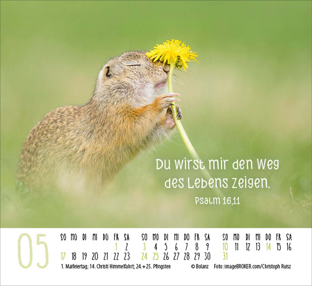 Begegnungen 2026 - Minikalender