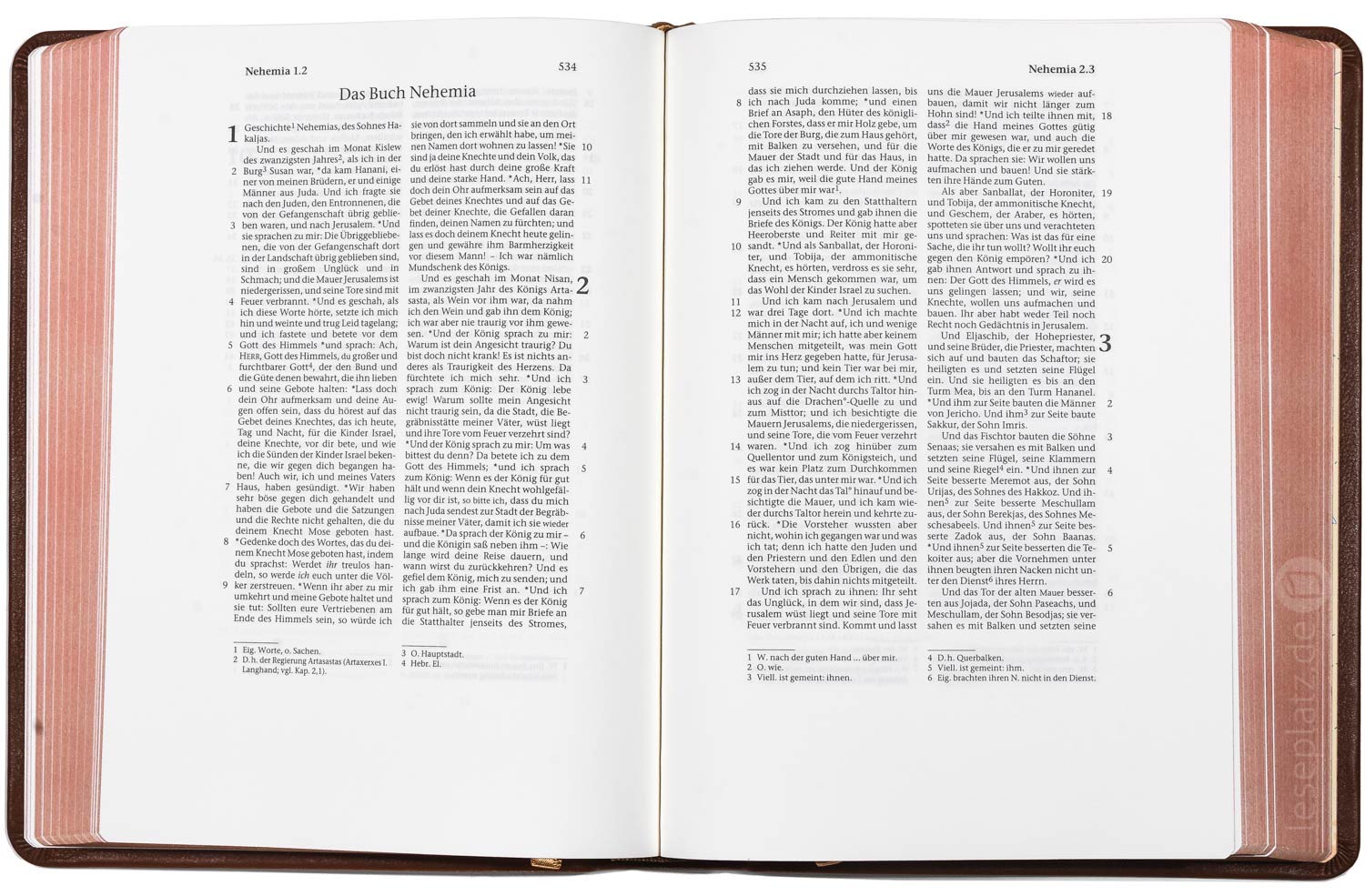 257165-06 Elberfelder 2003 - kl.Schreibrandausgabe / Leder hellbraun Rotgoldschnitt