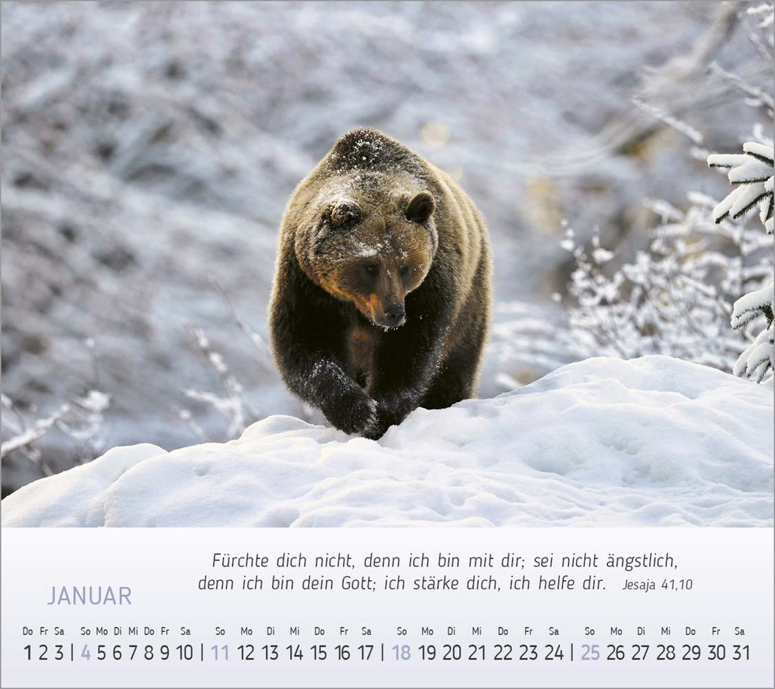 Foto-Träume 2026 Foto-Träume 2026