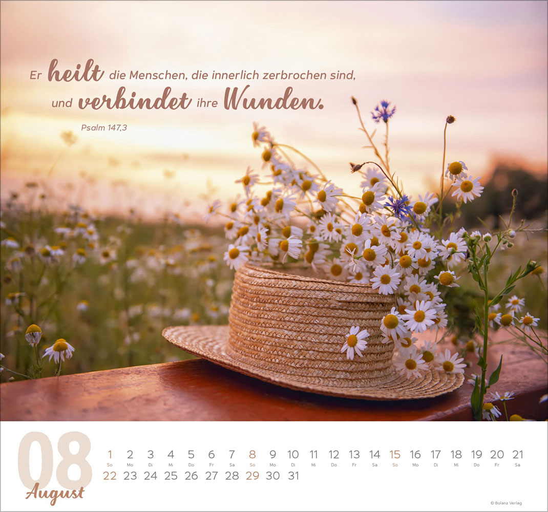 Meine Zeit 2027 - Wandkalender