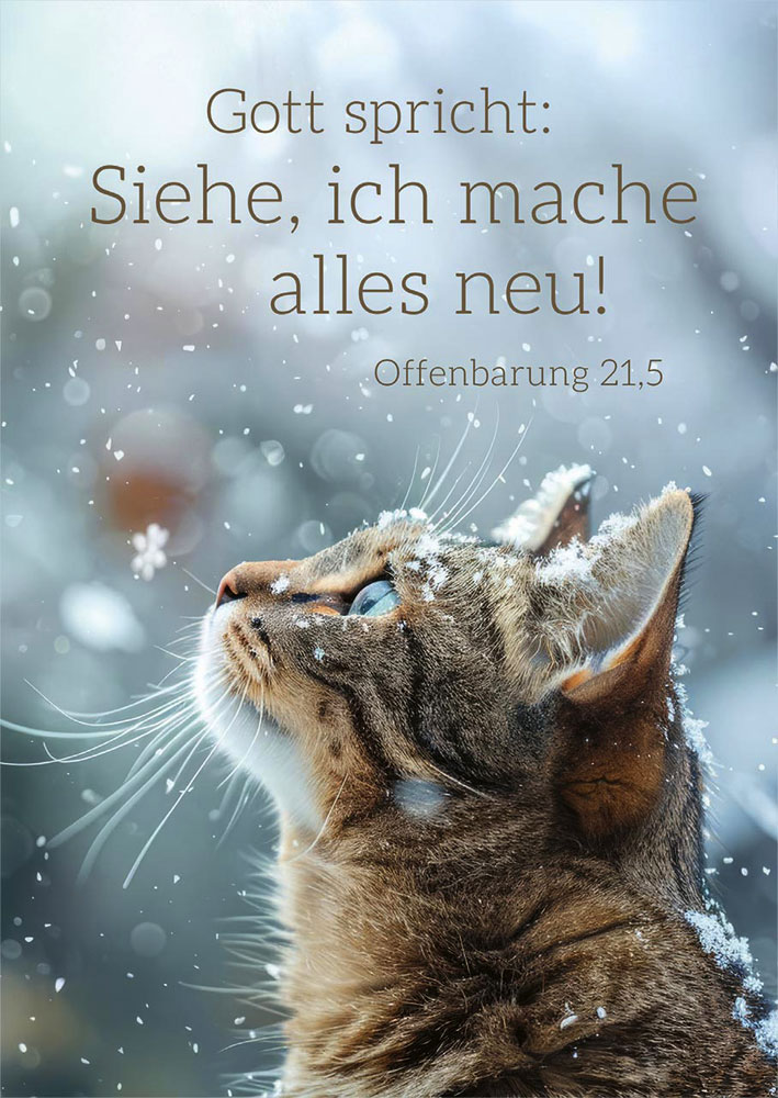 Postkarte "Jahreslosung 2026" (Katze)