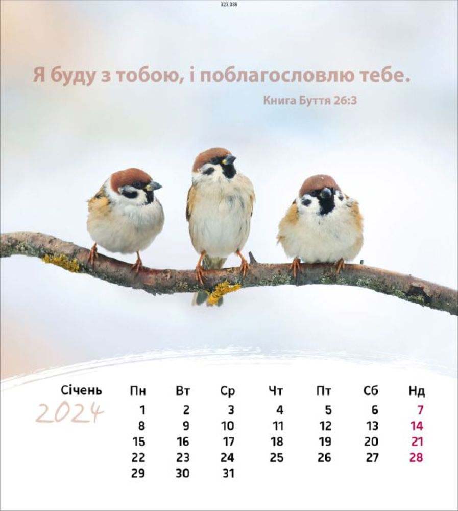 Leben für Dich 2024 - Postkartenkalender Leben für Dich 2024 - Postkartenkalender