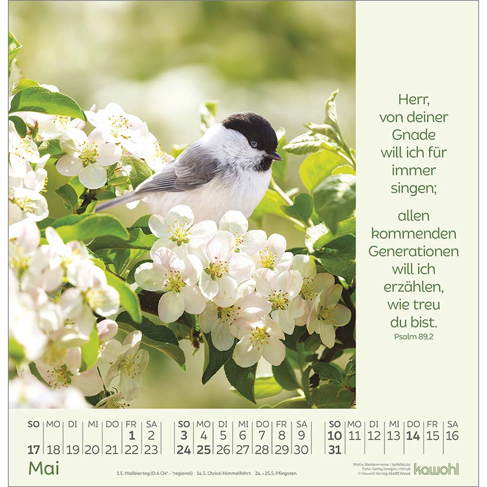 Blumengrüße 2026 - Wandkalender