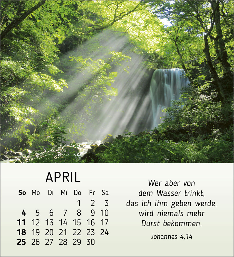 Schönheit des Lichts 2027