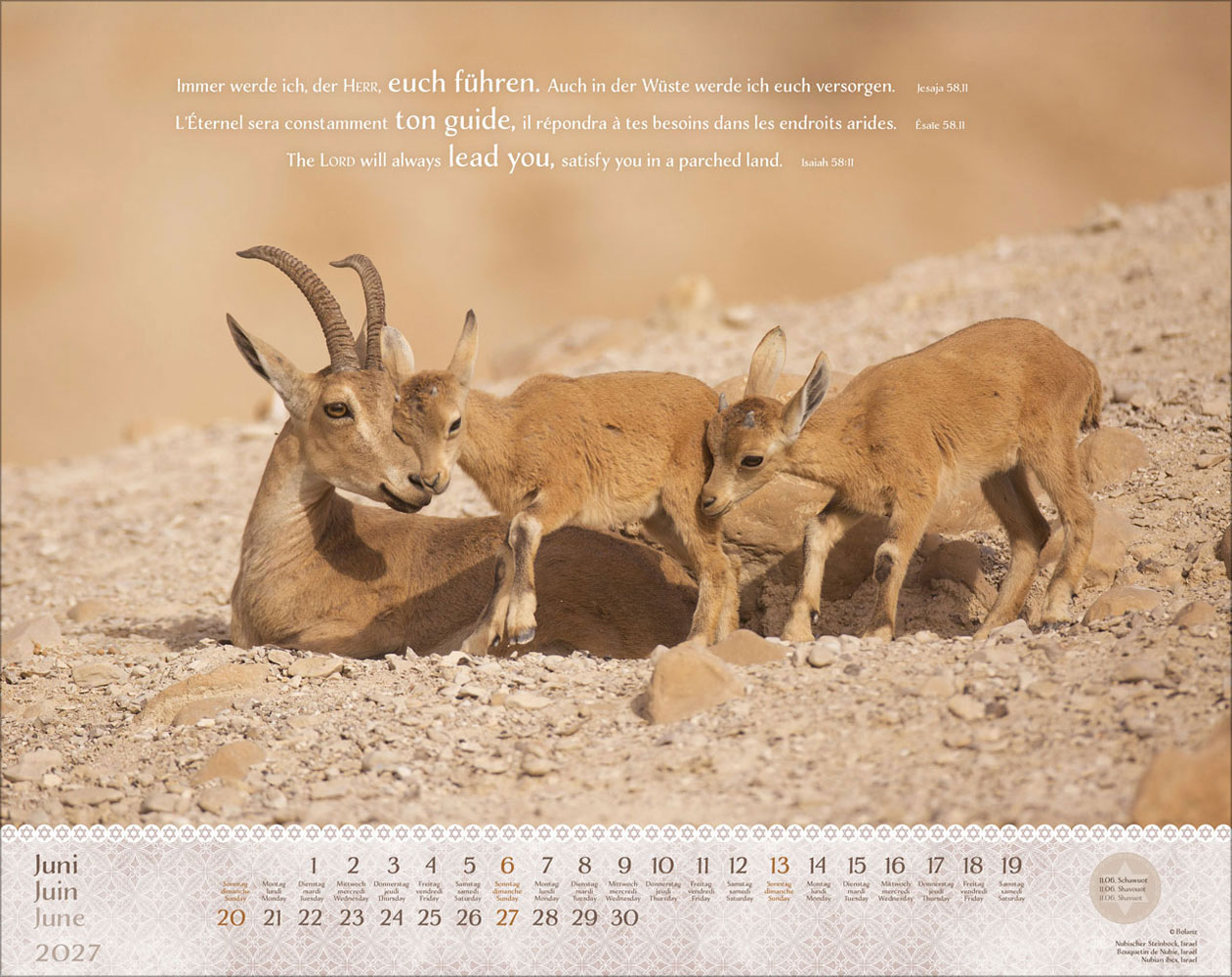 Israel Shalom 2027 - Wandkalender