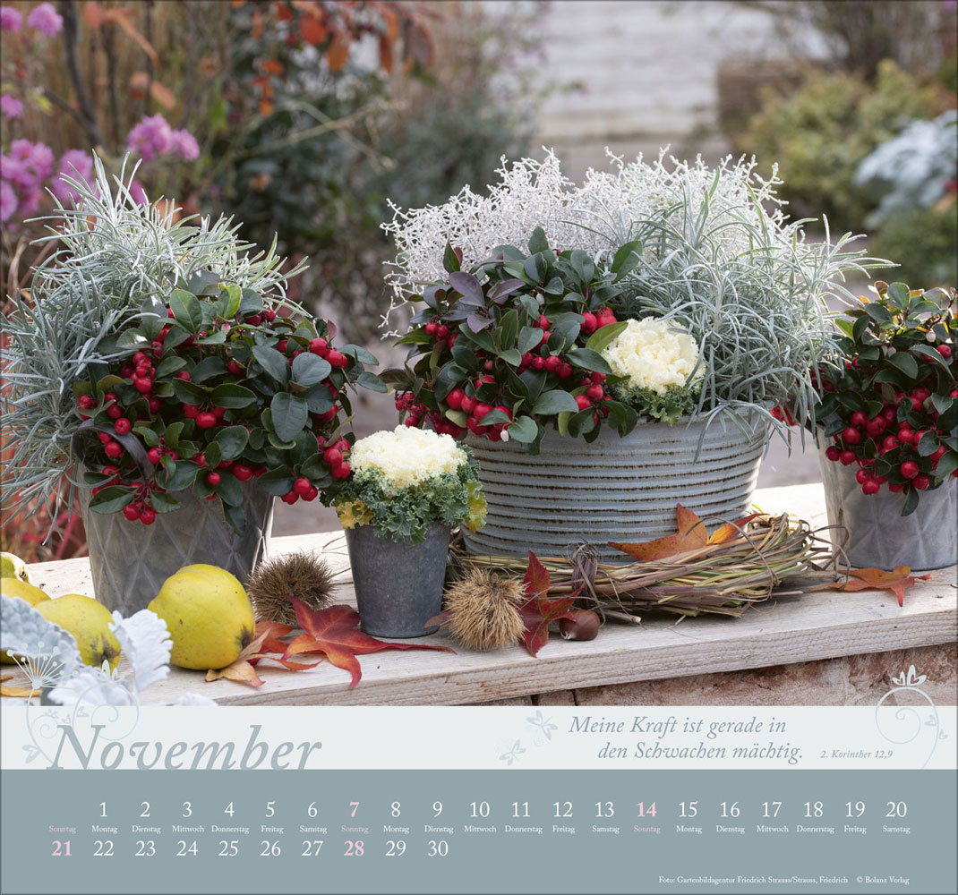 Im Garten zuhause 2027 - Wandkalender