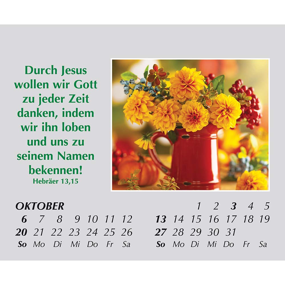 Freude für jeden Tag 2024 Freude für jeden Tag 2024