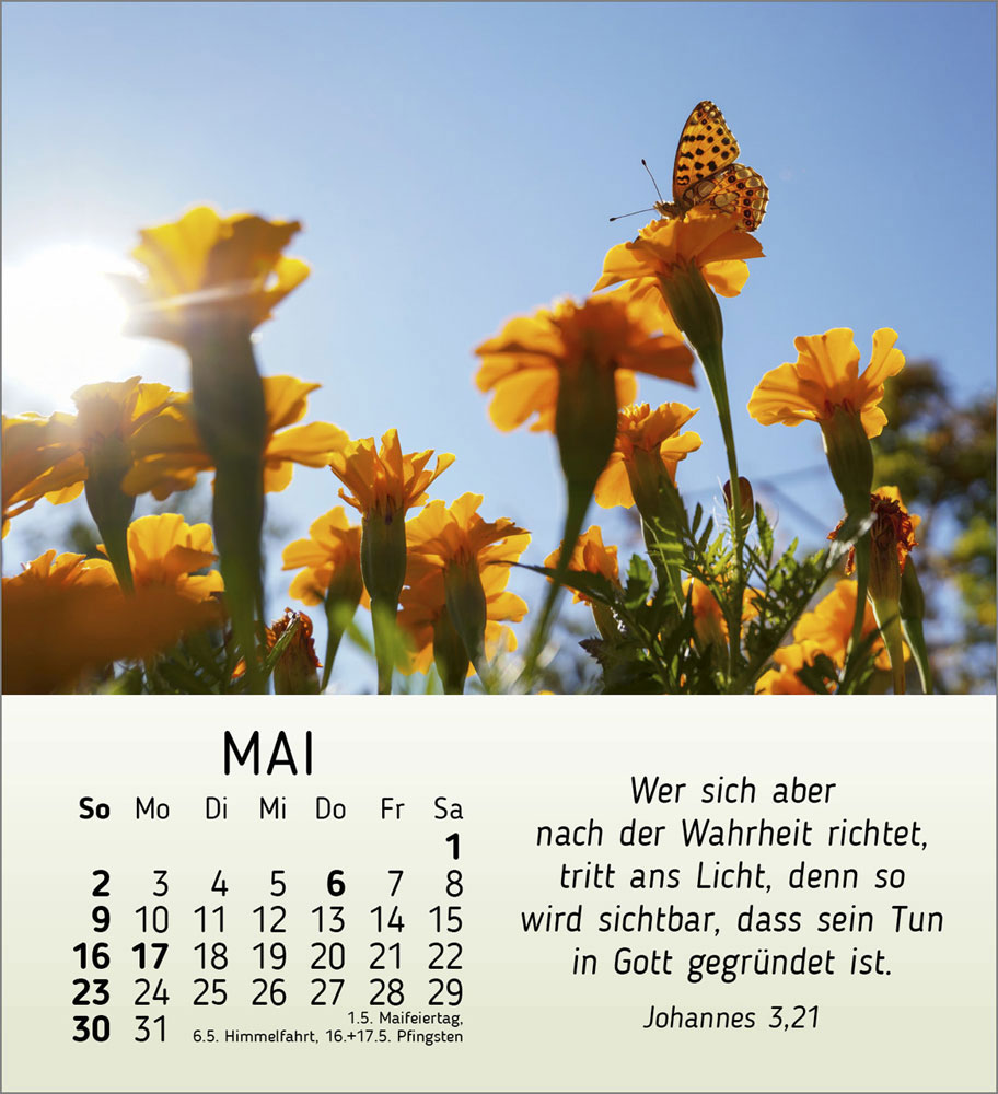 Schönheit des Lichts 2027