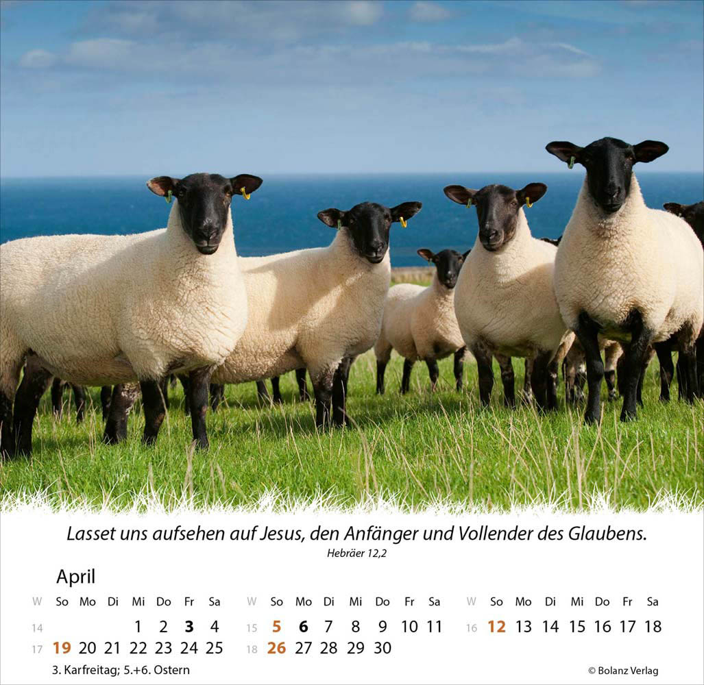 Ein Leben für die Schafe 2026 - Verteilkalender
