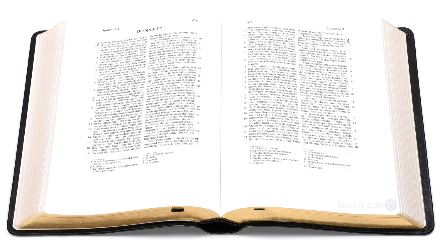 257135_07 Elberfelder 2003 - kl.Schreibrandausgabe / Rindleder Goldschnitt