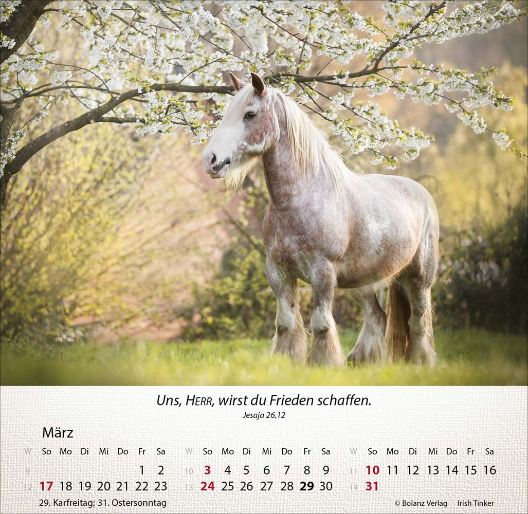 Pferde 2024 - Tischkalender Pferde 2024 - Tischkalender