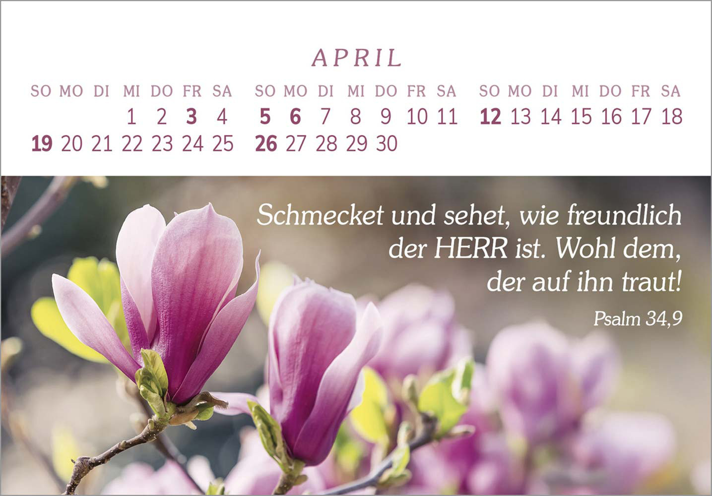 Das Geschenk der Freude 2026