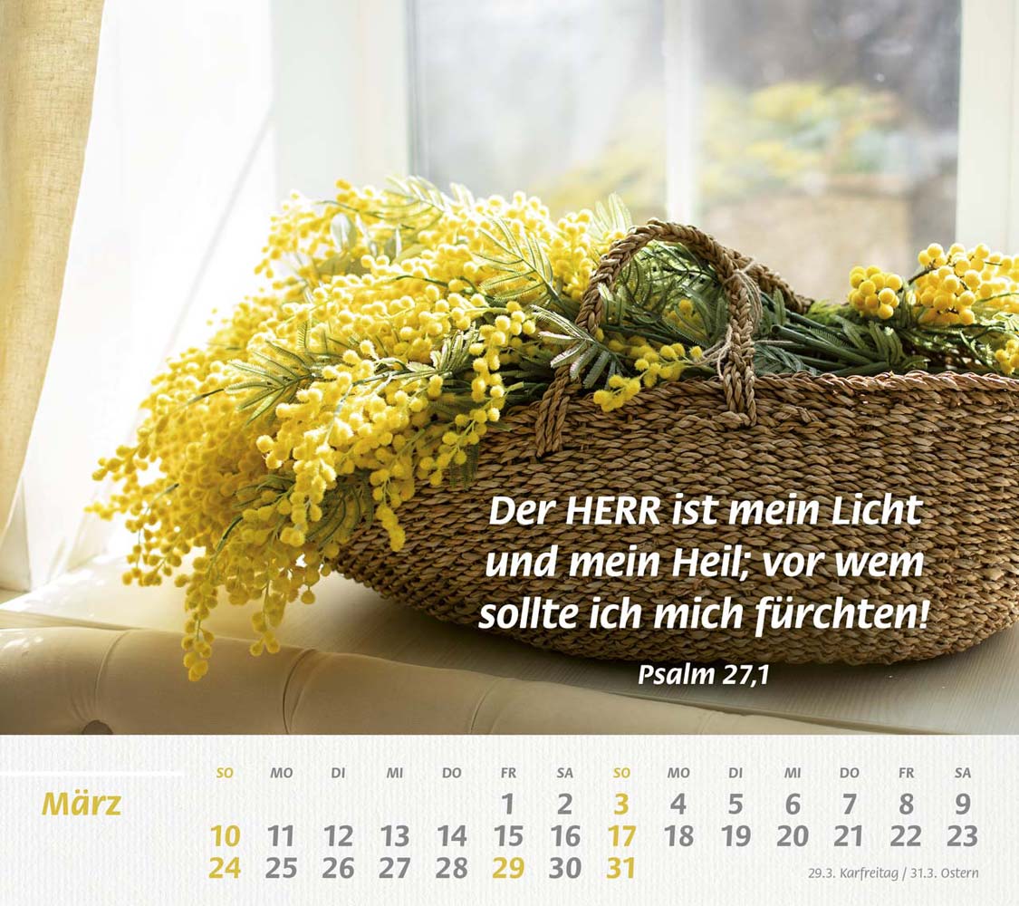 Du bist meine Stärke 2024 Du bist meine Stärke 2024