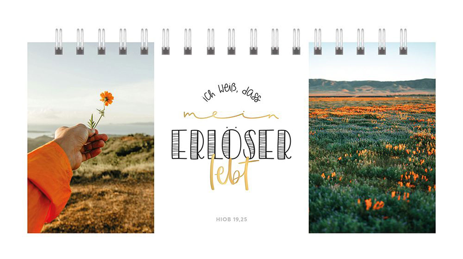 Dreifaches Himmelsglück - Aufstellbuch