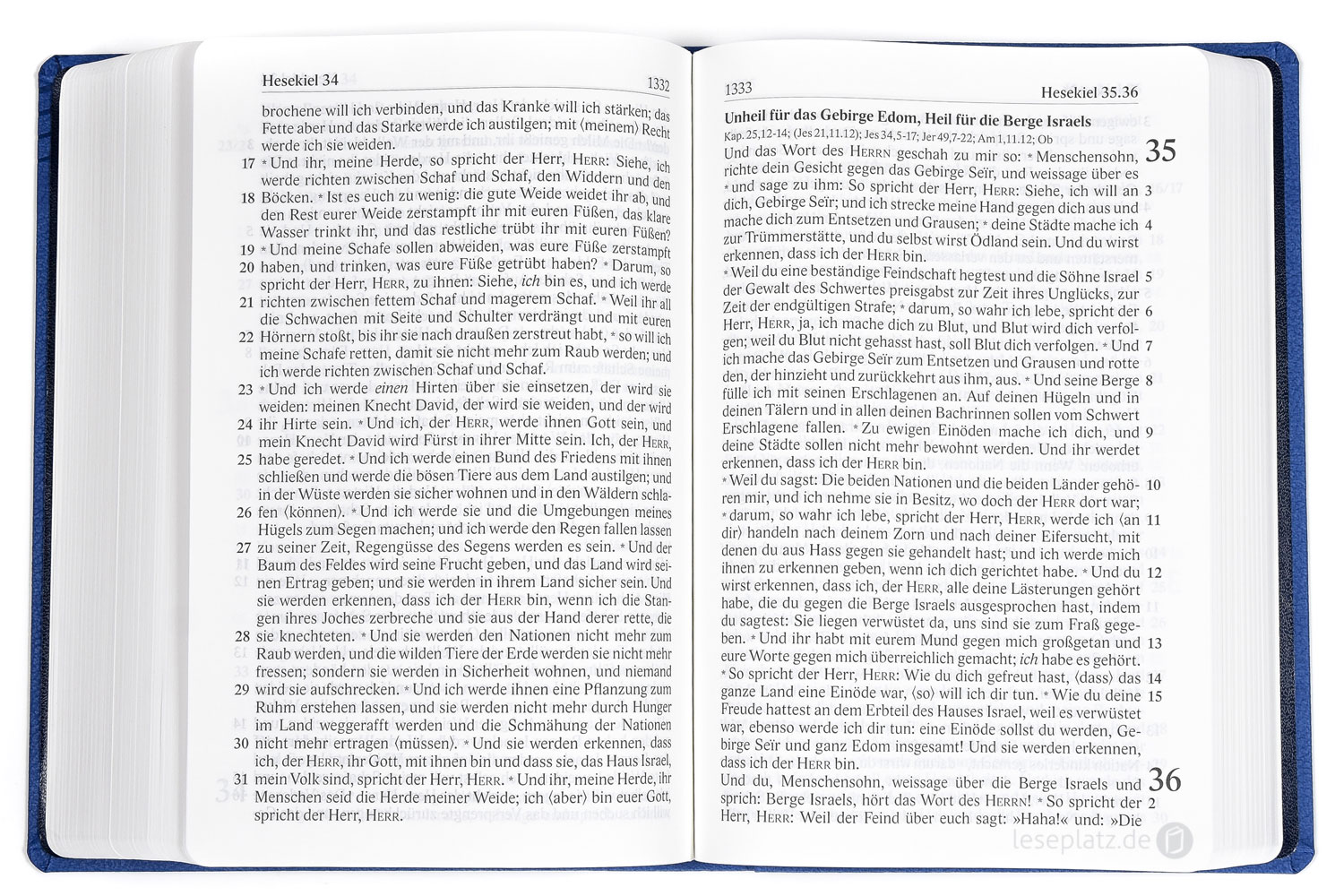 Elberfelder Bibel 2006 in großer Schrift - Kunstleder blau