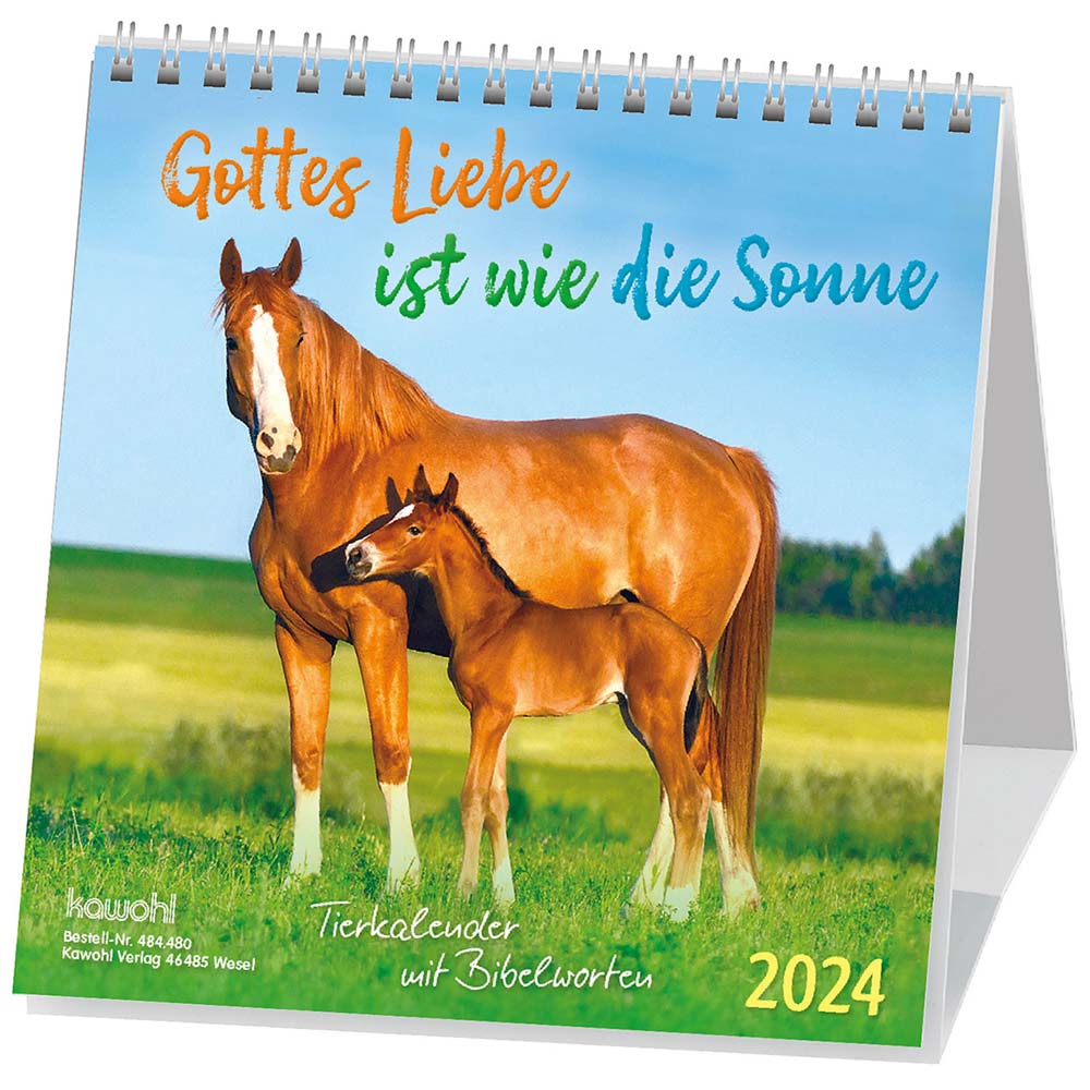 Gottes Liebe ist wie die Sonne 2024 - Postkartenkalender