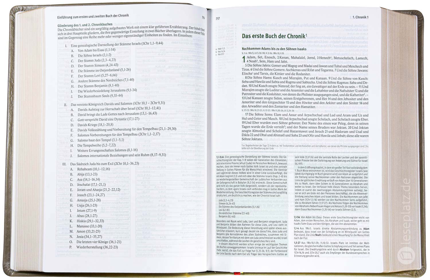 Elberfelder Bibel 2006 Studienausgabe - Leder/Goldschnitt