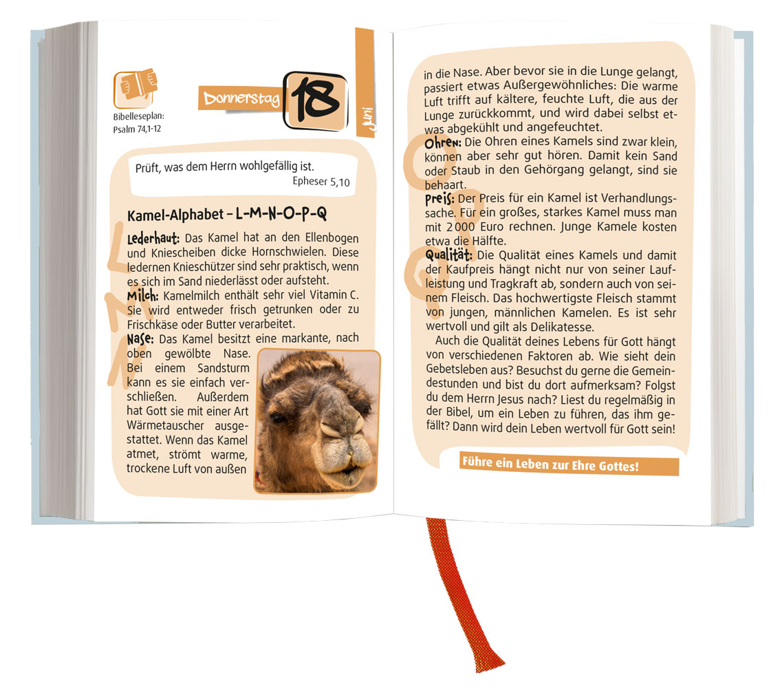 Der Kompass 2026 - Buchkalender