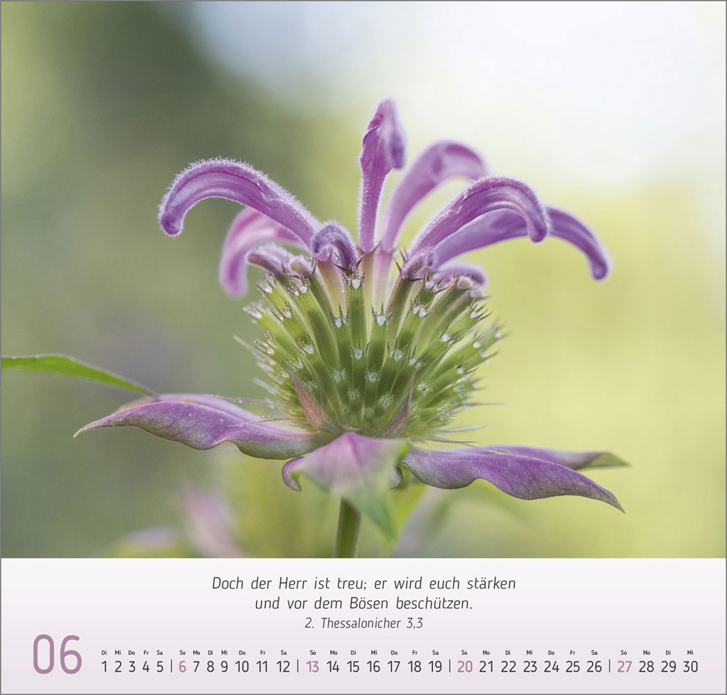 Gesichter der Natur 2027