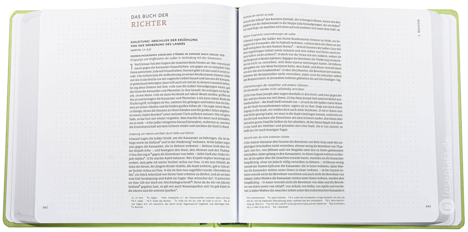Menge 2020 - Altes Testament Journaling "Mose bis Samuel"