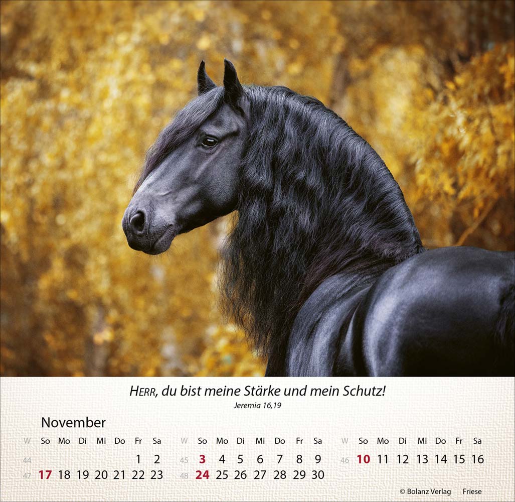 Pferde 2024 - Tischkalender Pferde 2024 - Tischkalender