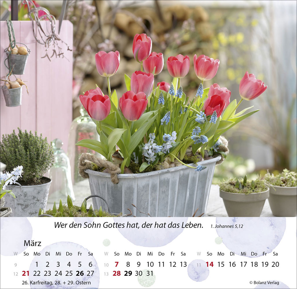 Gärten 2027 - Tischkalender