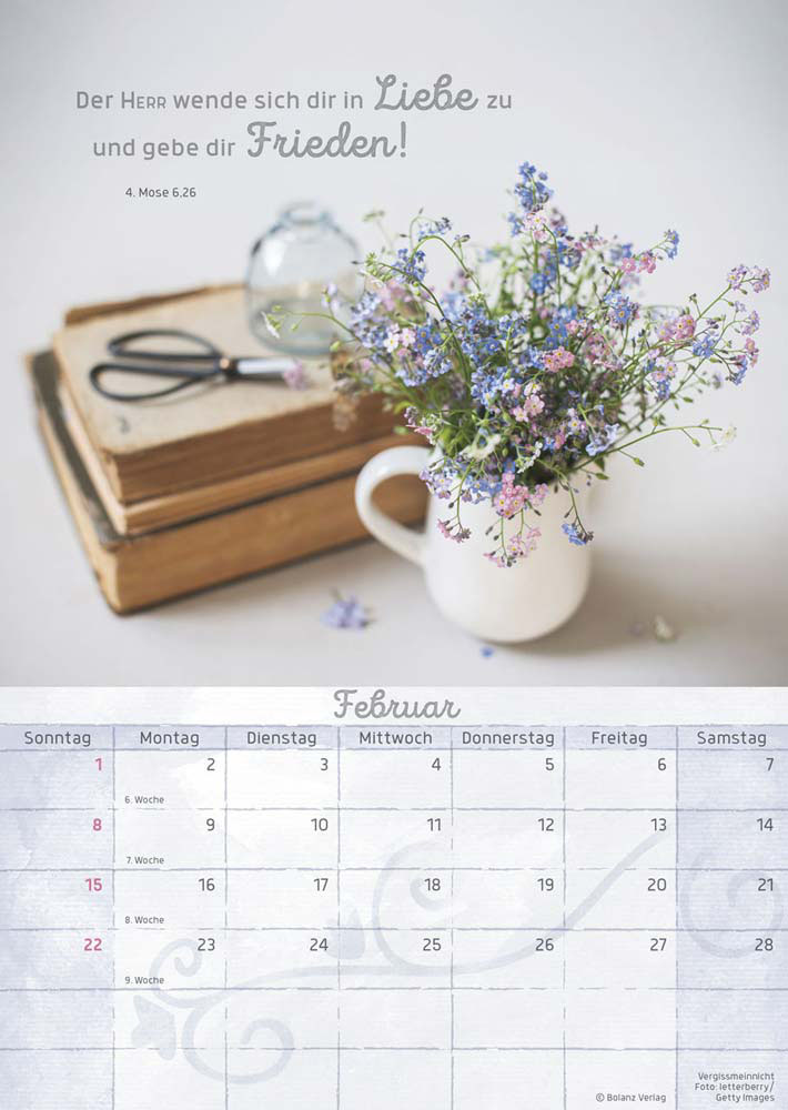 Momente der Freude 2026 - Wandkalender