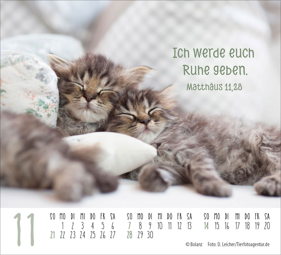 Begegnungen 2027 - Minikalender