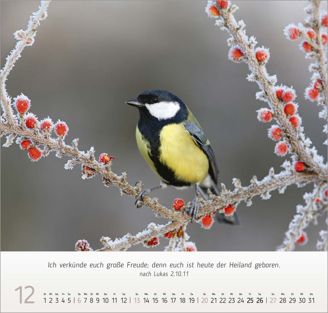Gesichter der Natur 2026 Gesichter der Natur 2026