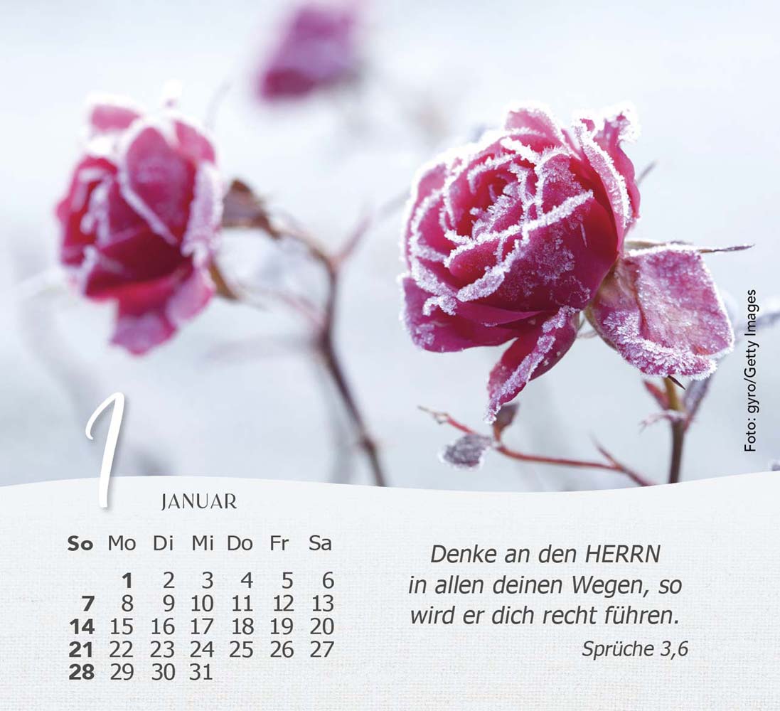 Rosen 2024 - Tischkalender Rosen 2024 - Tischkalender