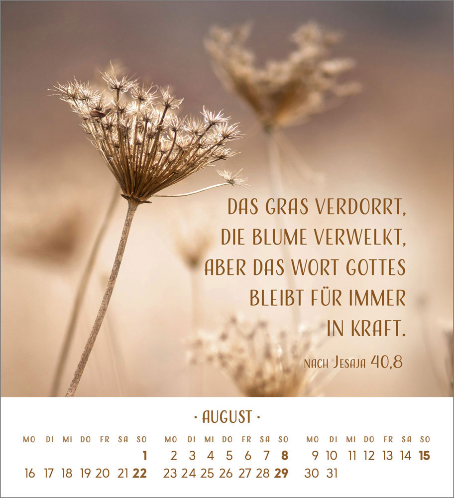 Zarte Blumengrüße 2027 - Tischkalender