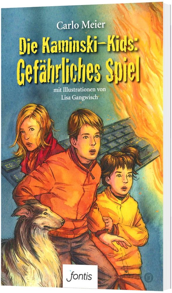 Gefährliches Spiel (14) - Taschenbuch