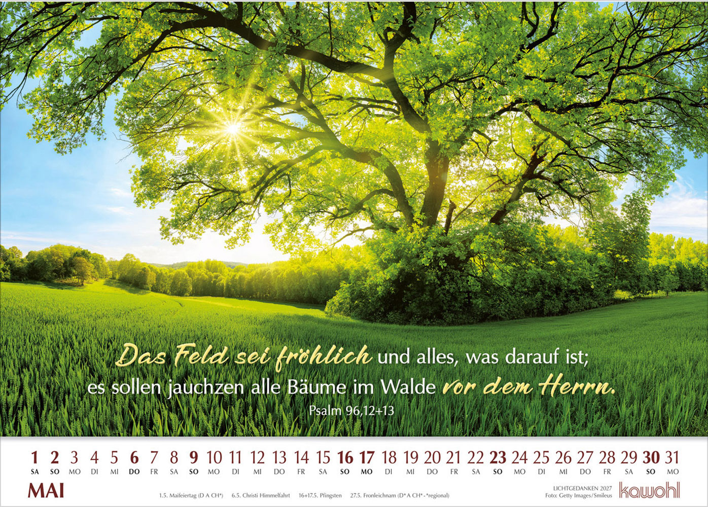 Lichtgedanken 2027 - Wandkalender