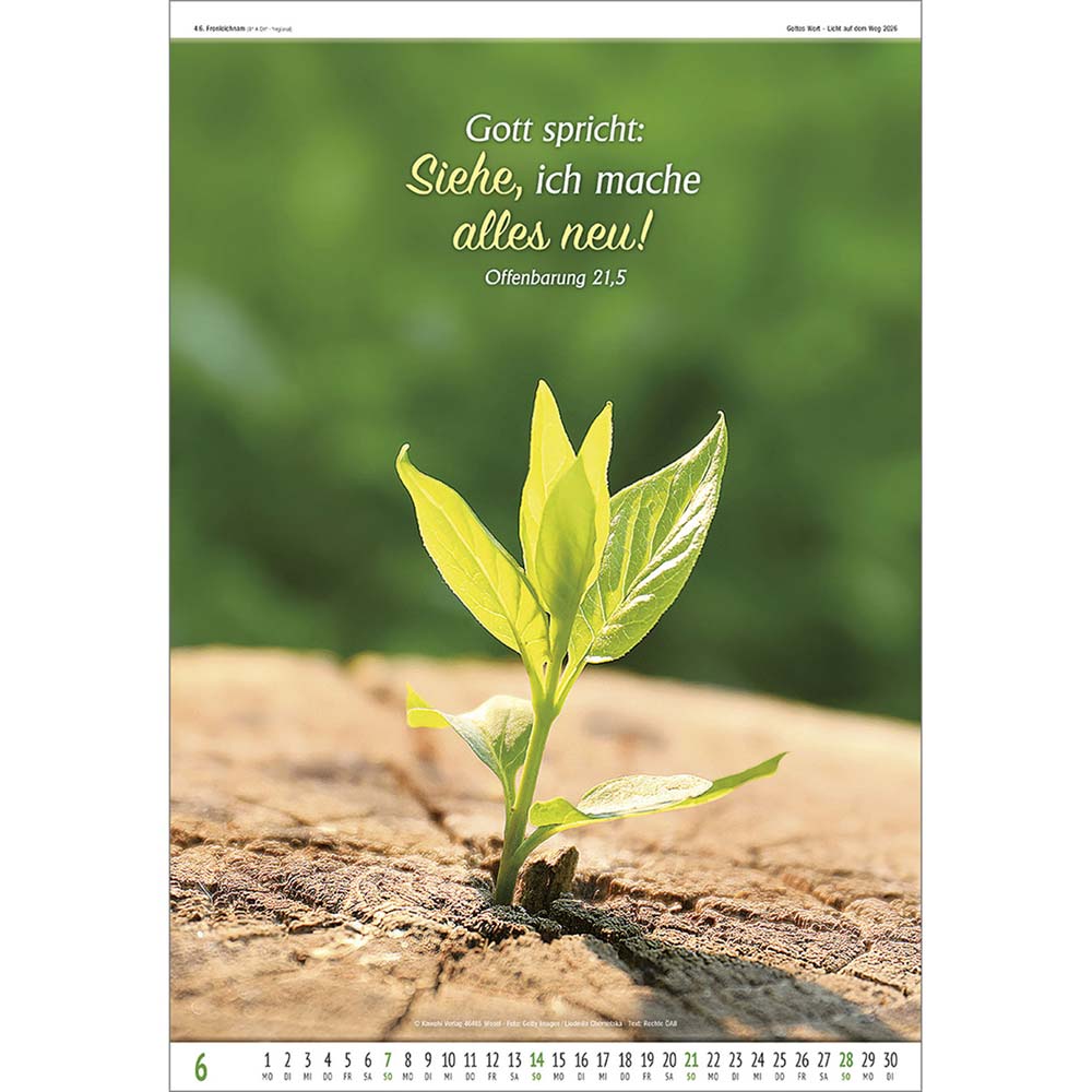 Gottes Wort - Licht auf dem Weg 2026 - Wandkalender