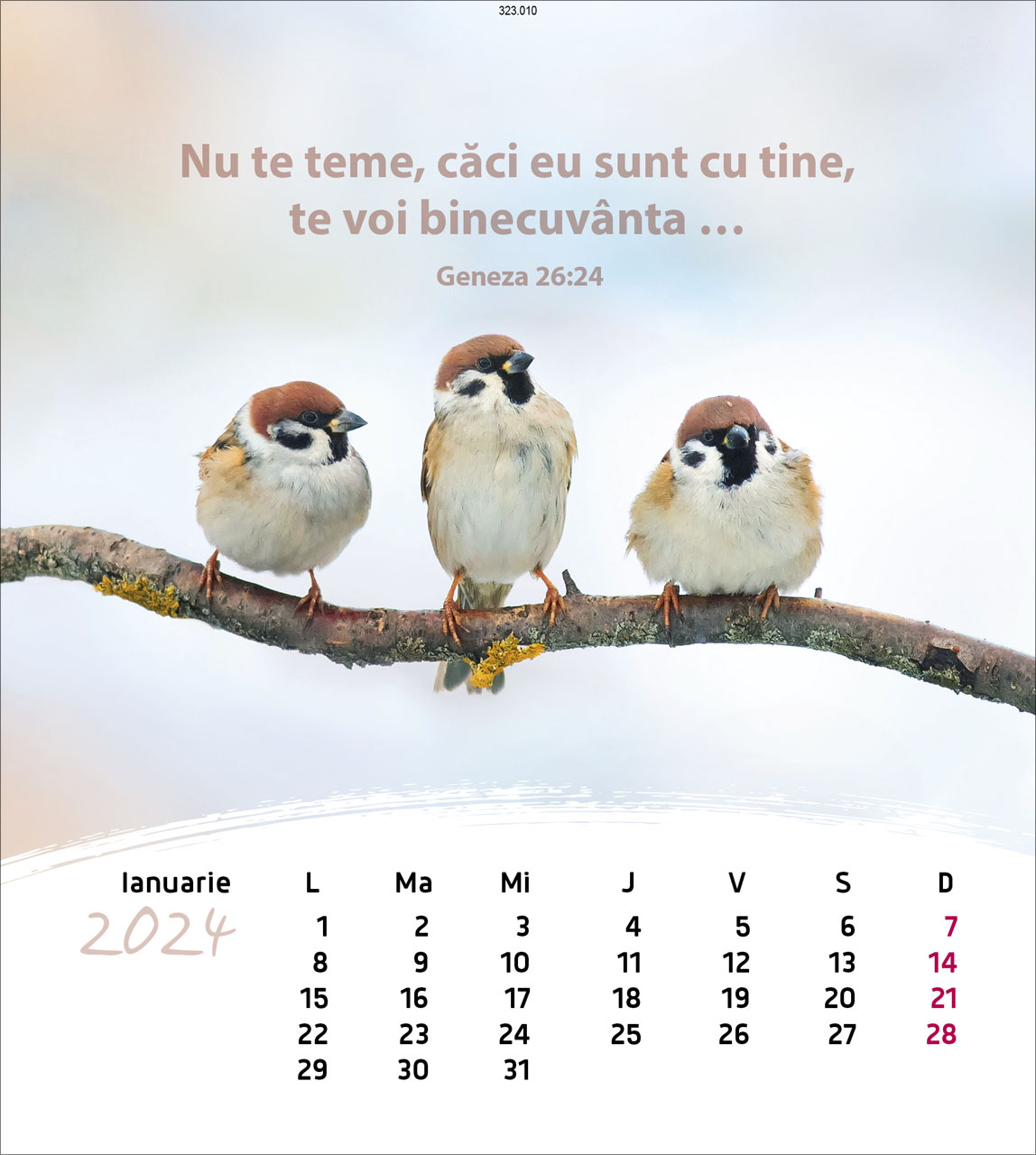 Leben für Dich 2024 - Postkartenkalender Leben für Dich 2024 - Postkartenkalender