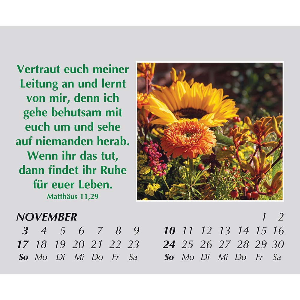 Freude für jeden Tag 2024 Freude für jeden Tag 2024